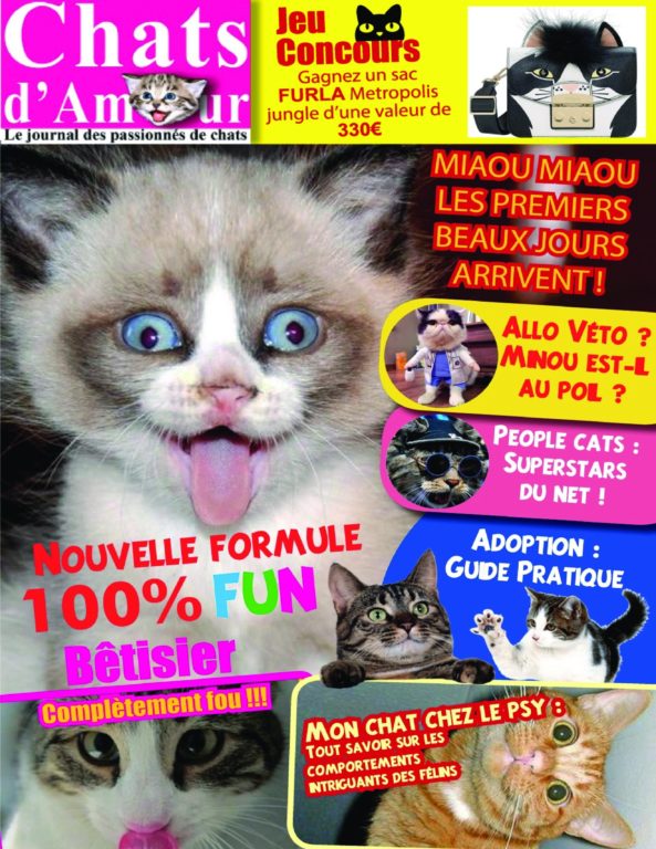 Chats D’Amour – Avril 2018