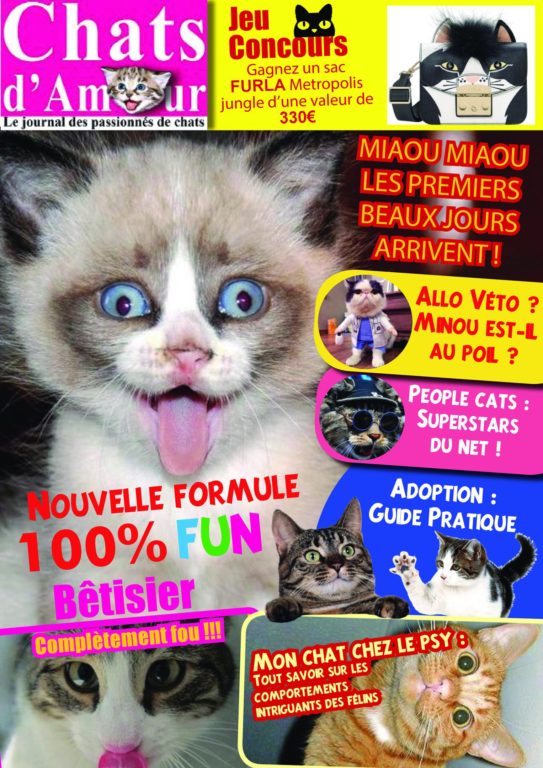 Chats D’Amour – Mars 2018
