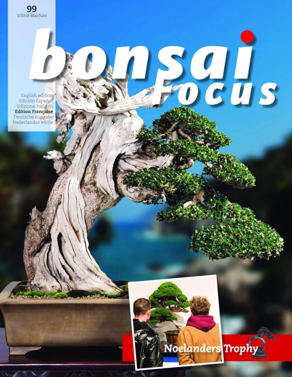Bonsai Focus (French Edition) – Mai-juin 2018