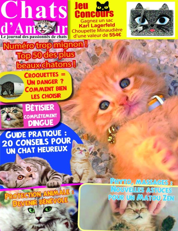 Chats D’Amour – Mai 2018