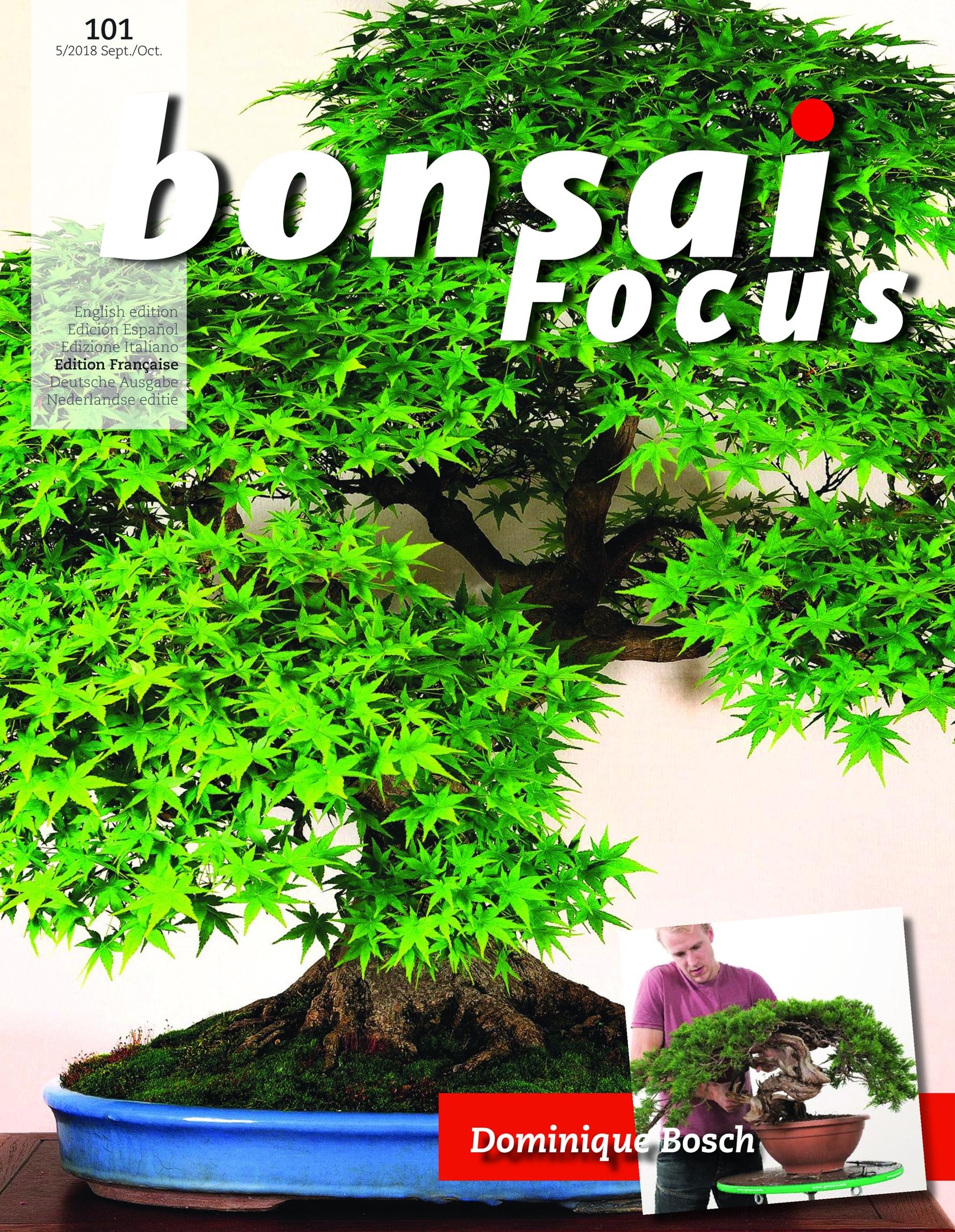Bonsai Focus (French Edition) – Septembre-octobre 2018