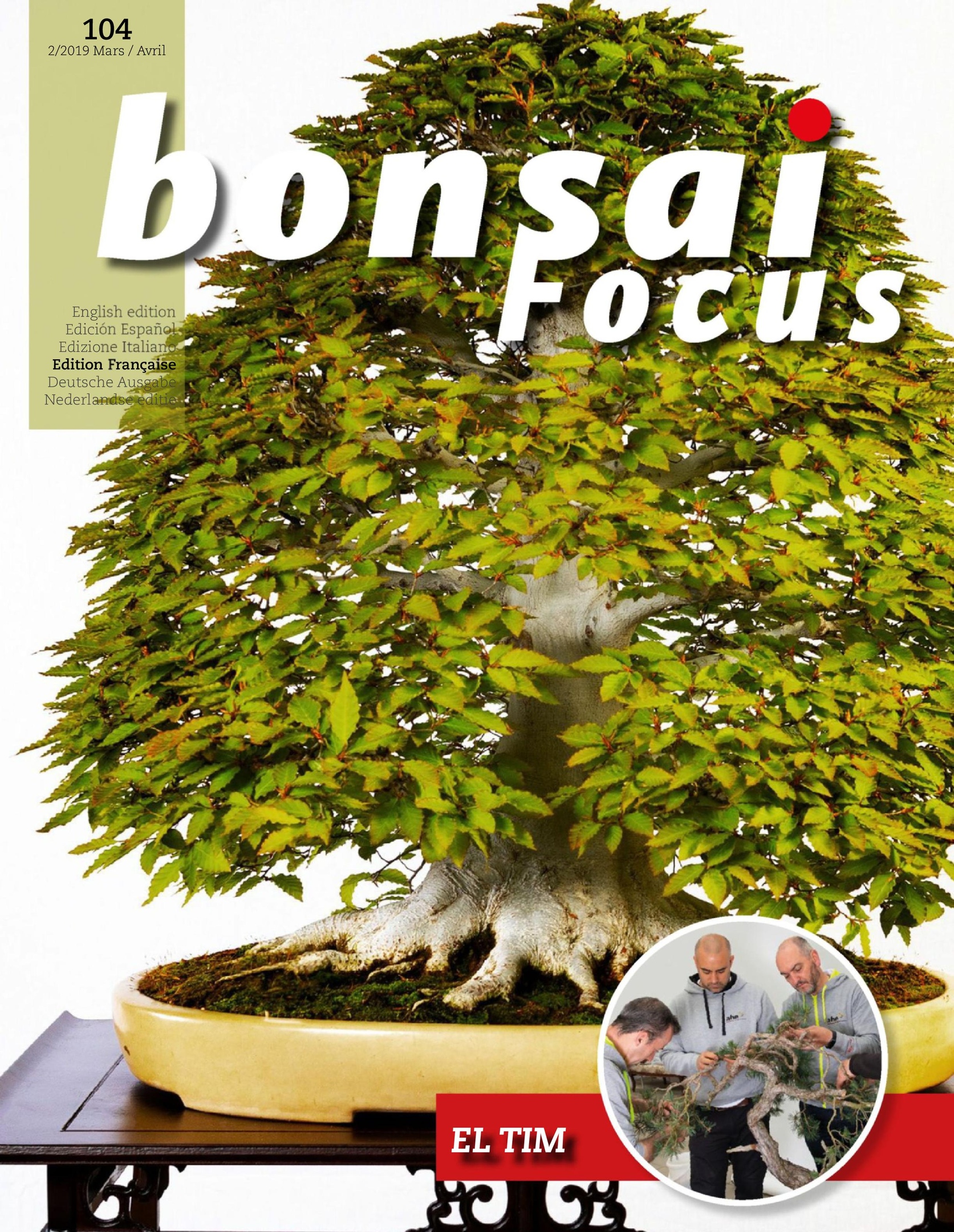 Bonsai Focus (French Edition) – Mars-avril 2019