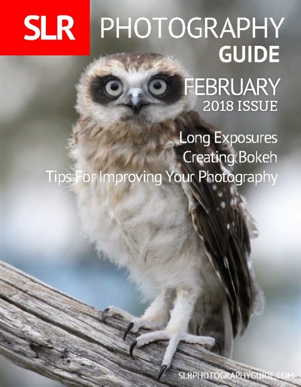 SLR Photography Guide – February 2018